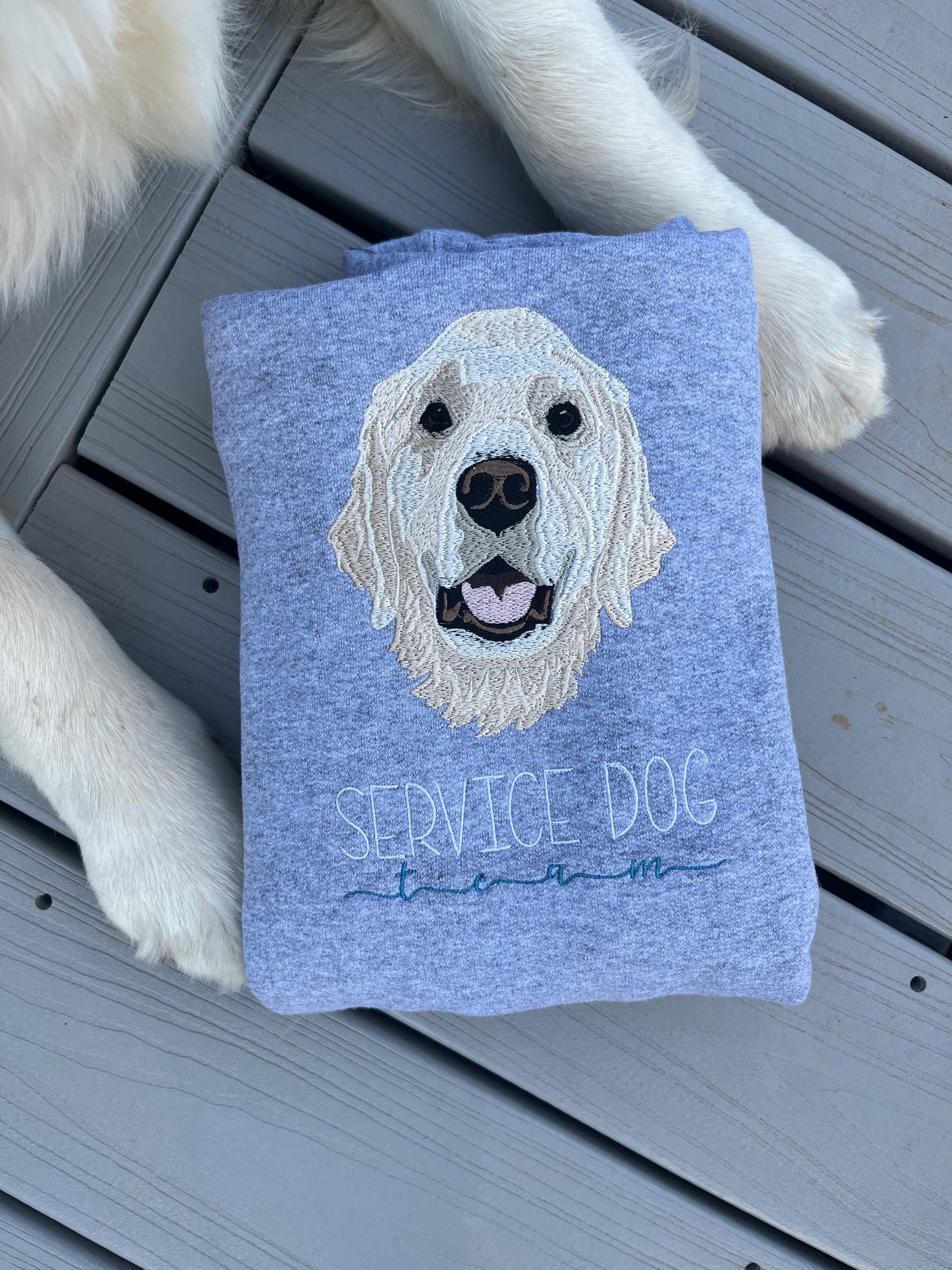 Pet Portrait Hoodie - Kid