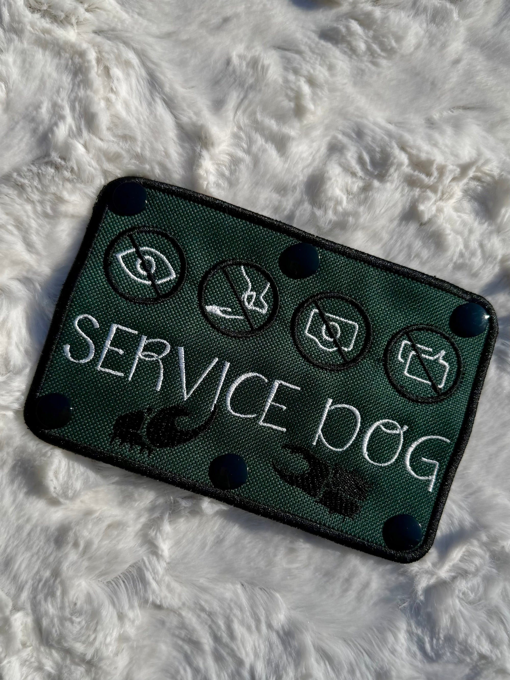 Service Dog Stag Beetle Wrap - SNAPS