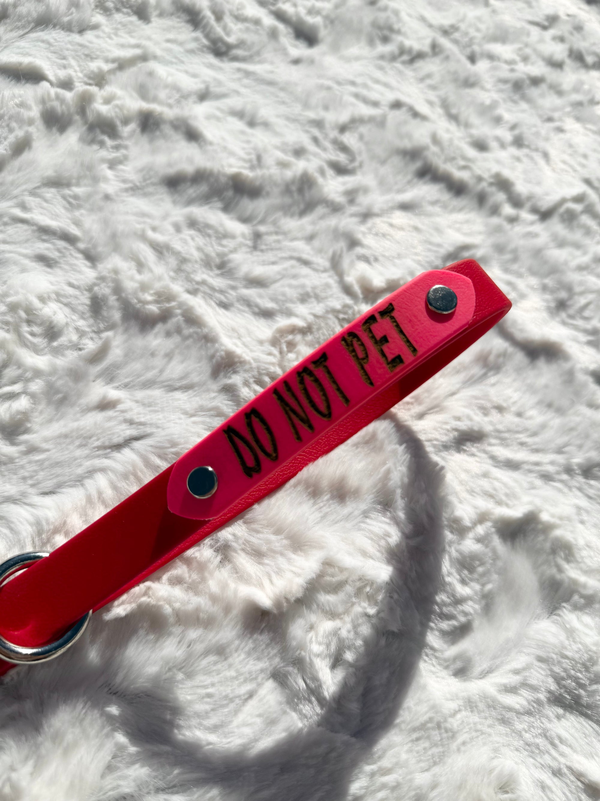 12" Red Traffic Lead, pink "do not pet" engraved plate, and floating o-ring