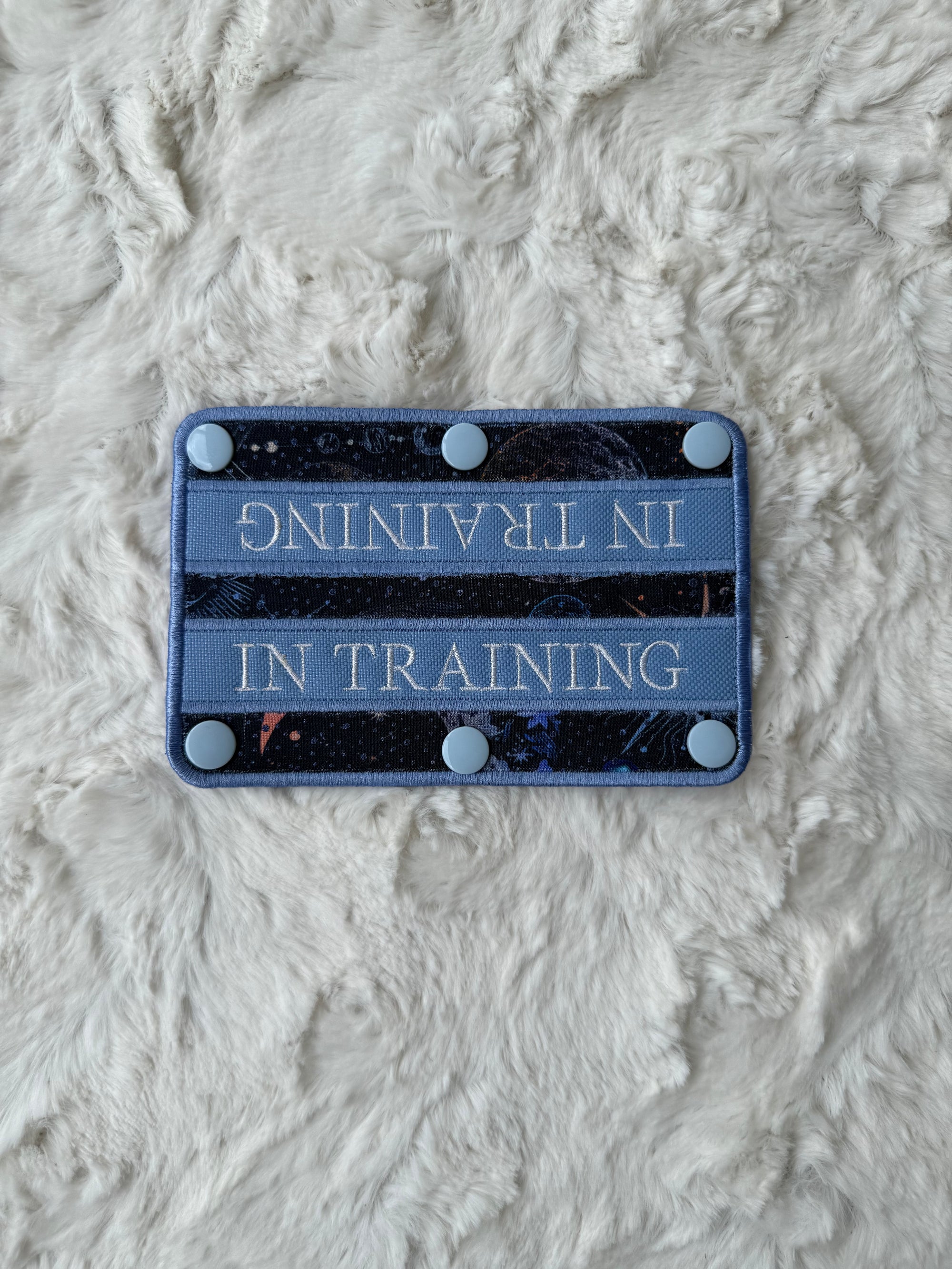 2x6" In Training Periwinkle Wrap - SNAPS