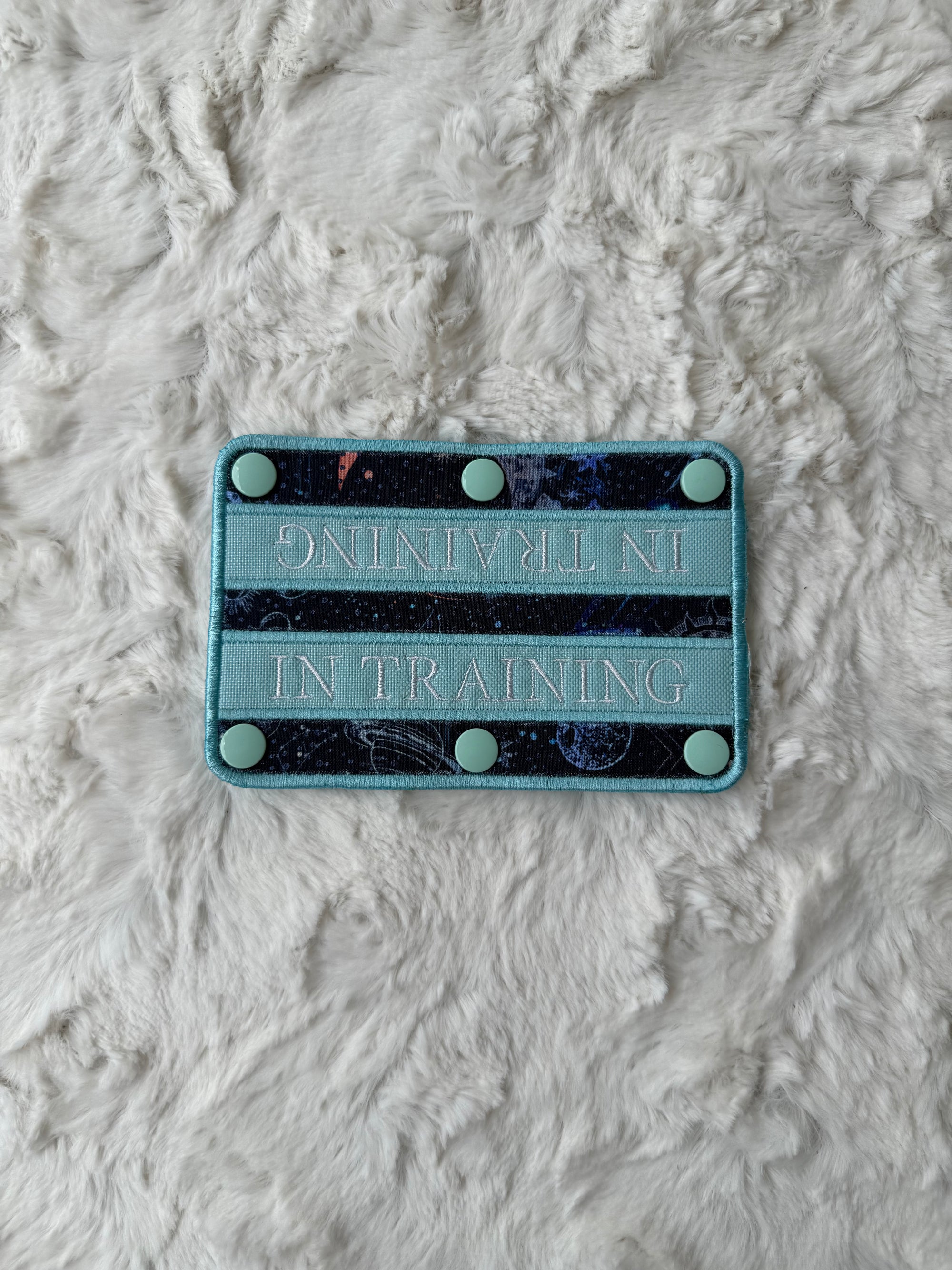 2x6" In Training Aqua Wrap - SNAPS
